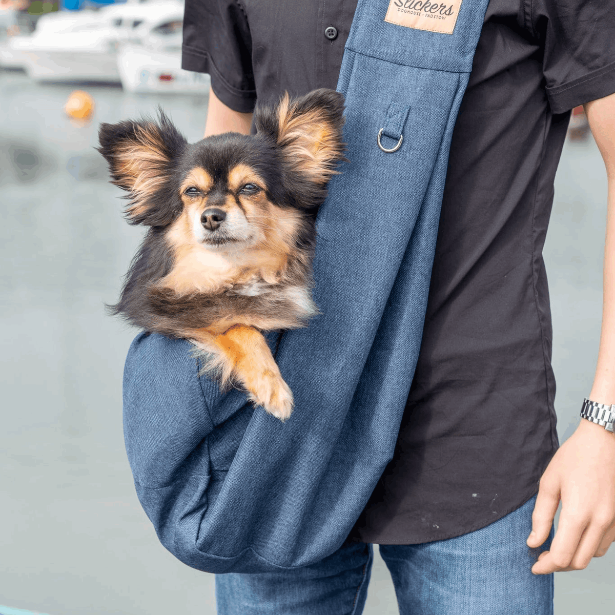 Dog shoulder sling online