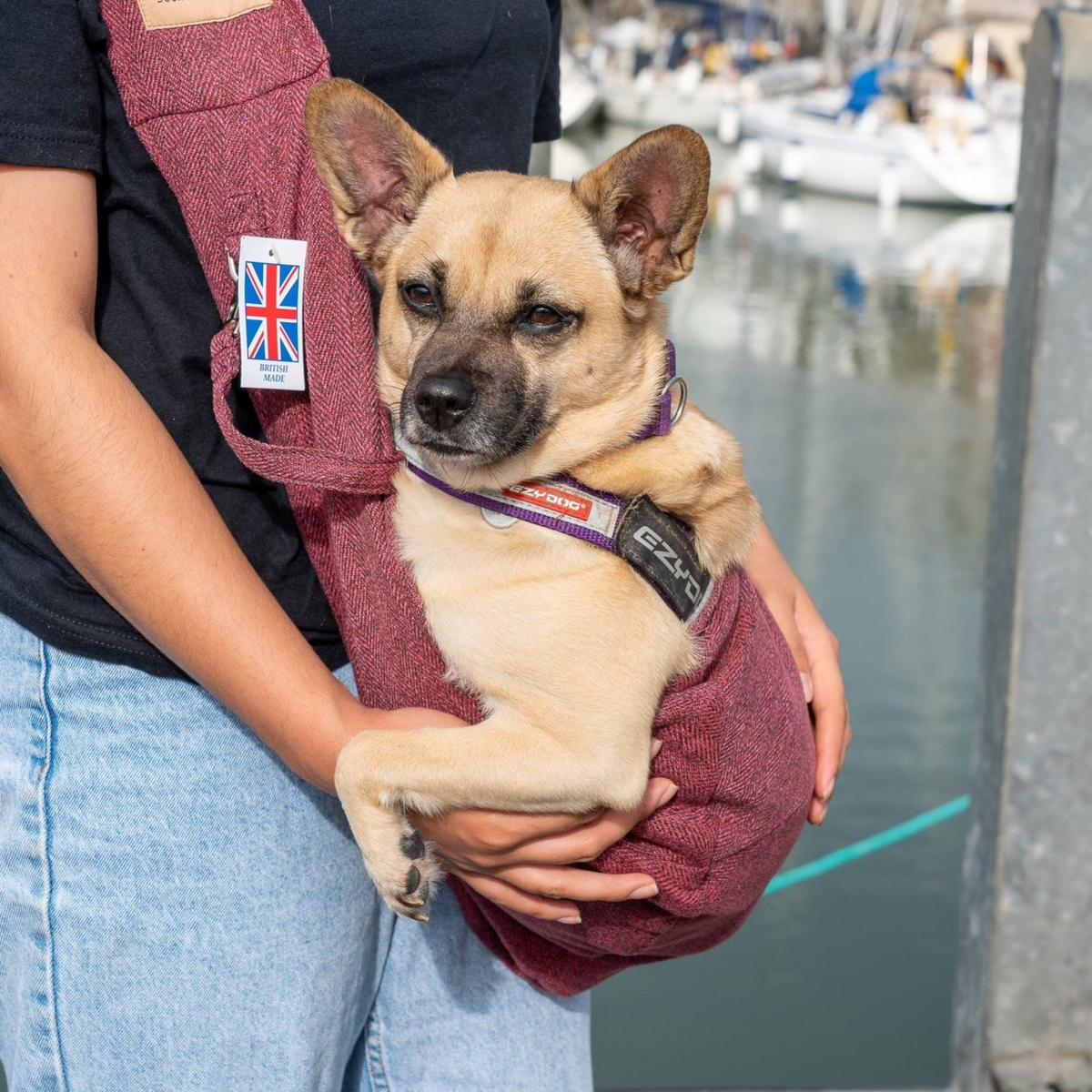 Mulberry dog outlet coat