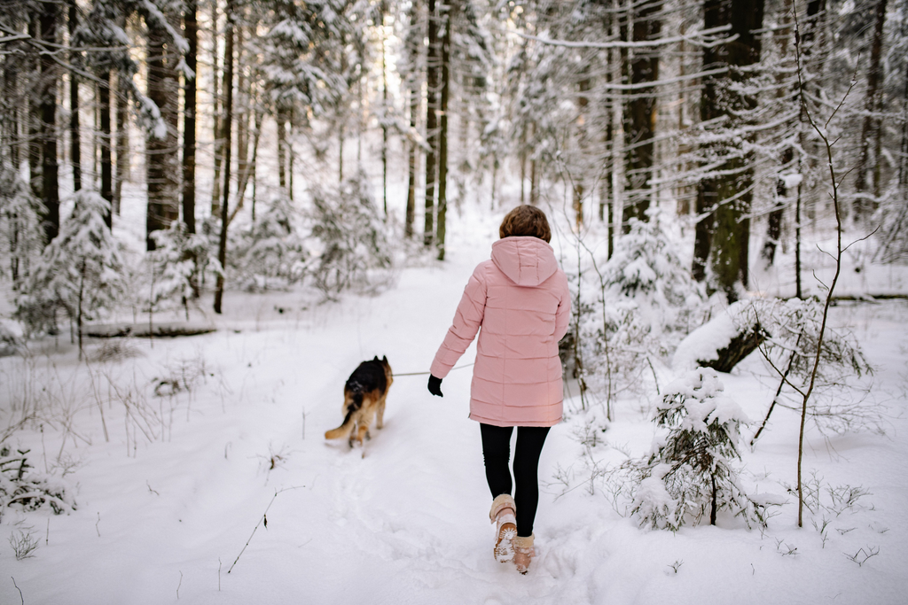 Winter Walkies: How to Keep Your Dog Warm and Safe in Cold Weather