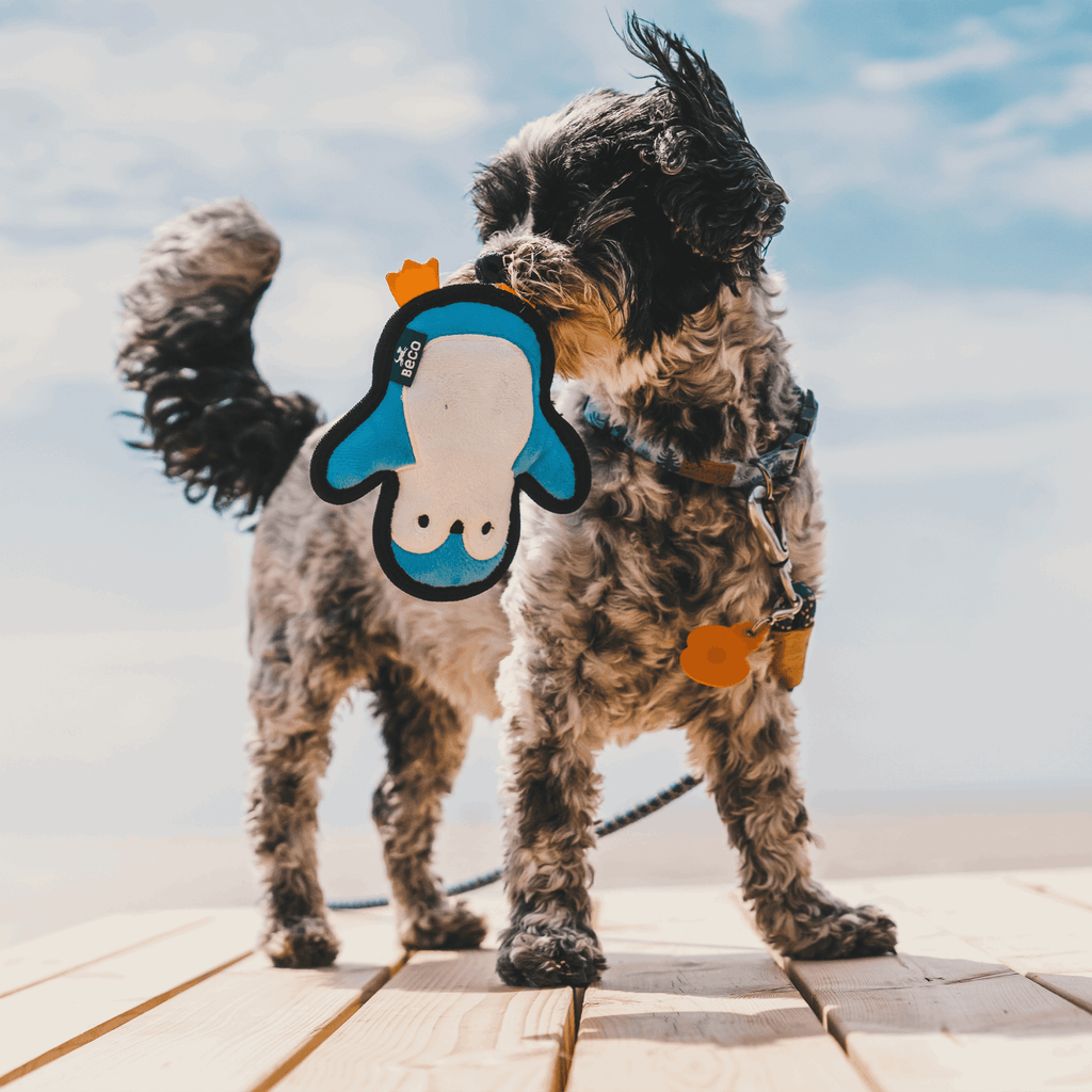 Beco Rough & Tough Recycled Dog Toy, Penguin - Slickers ‚óä Doghouse