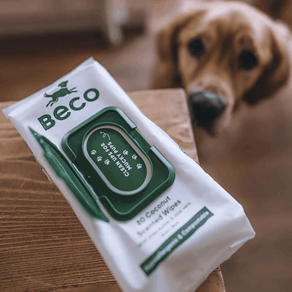 Beco Dog Wipe Bamboo Dog Wipes | Coconut Scented 80 Pack