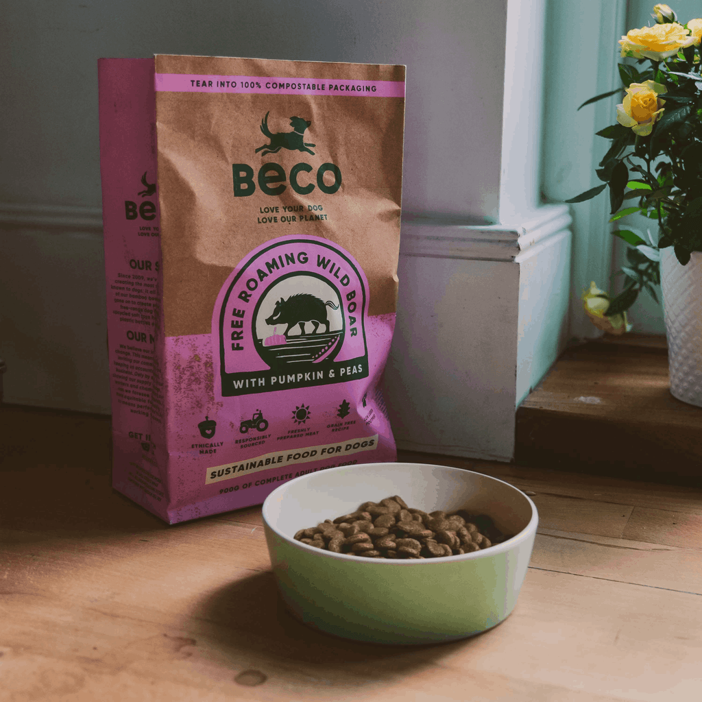 Beco Wild Boar with Pumpkin & Broccoli Dry Adult Dog Food - Slickers ◊ Doghouse