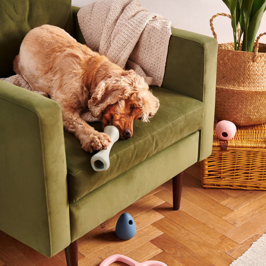 Natural Rubber Treat Bone - Slickers ‚óä Doghouse