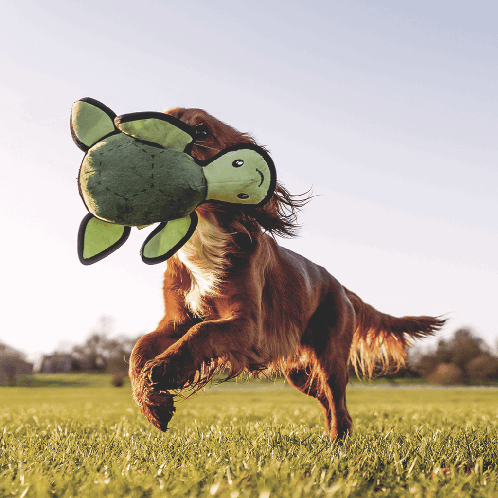 Beco Rough & Tough Recycled Dog Toy, Turtle - Slickers ‚óä Doghouse