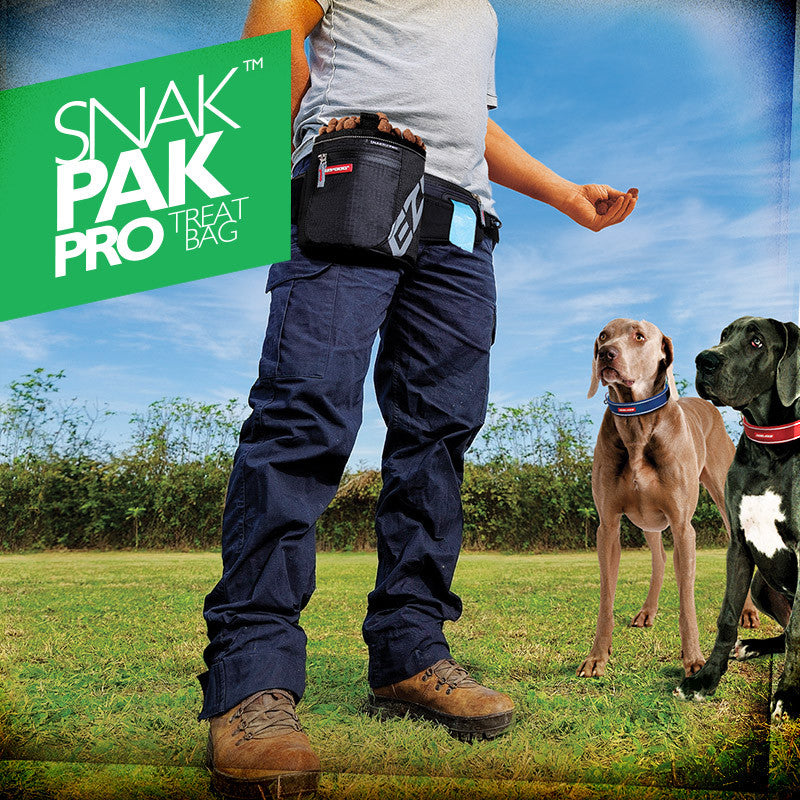 EzyDog Accessories SnakPak Pro Treat Bag