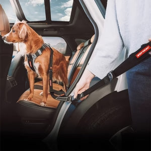 EzyDog Animals & Pet Supplies Click Dog Seat Belt Attachment with Drive Click Lead