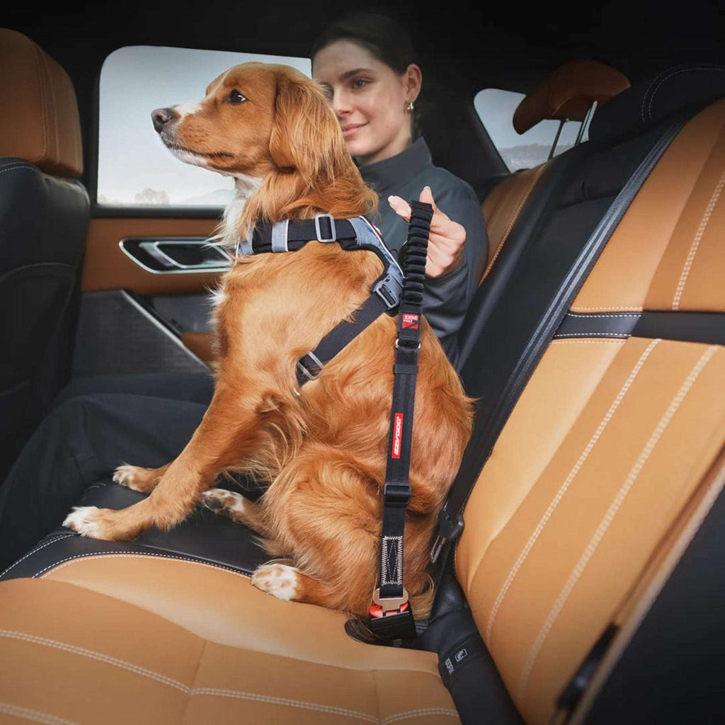 EzyDog Animals & Pet Supplies Click Dog Seat Belt Attachment with Drive Click Lead