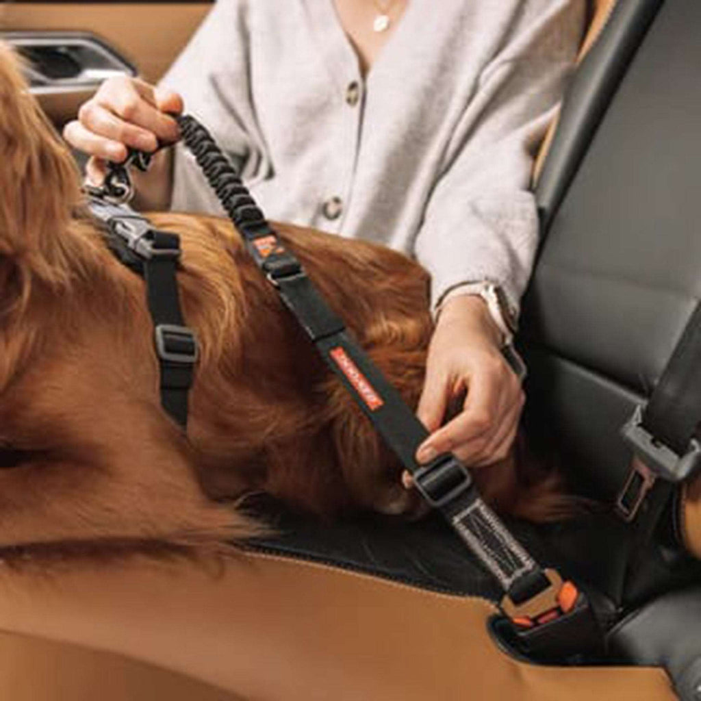 EzyDog Animals & Pet Supplies Click Dog Seat Belt Attachment with Drive Click Lead