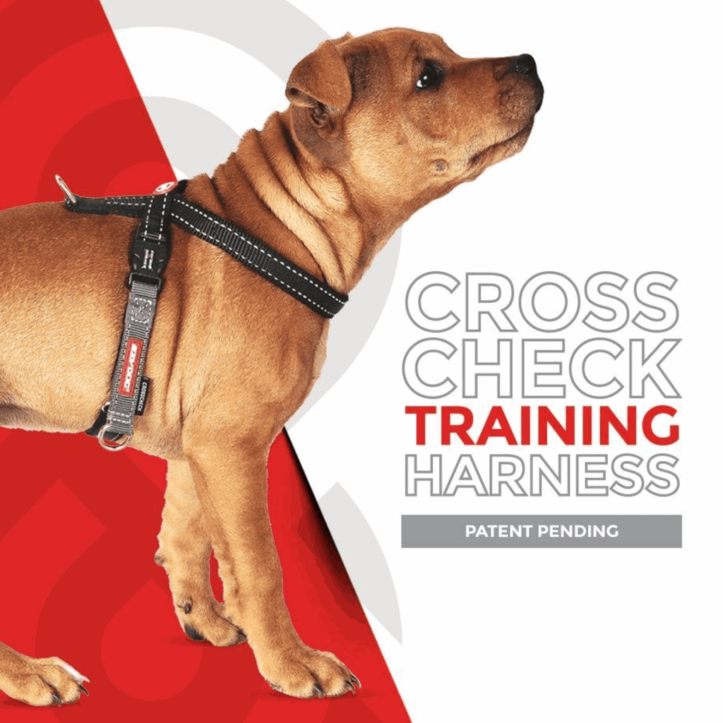 Cross Check Training Harness - Slickers ‚óä Doghouse