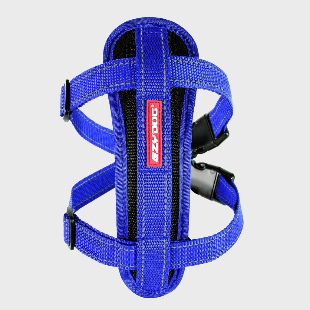 EzyDog Harness X-Small / Blue Chest Plate Dog Harness