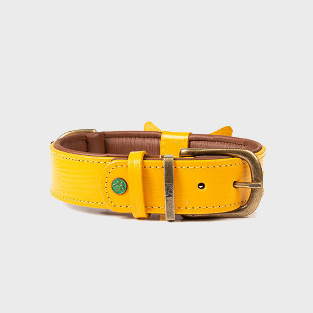 Bibi Dog Collar - Dog with a Mission - Slickers ◊ Doghouse