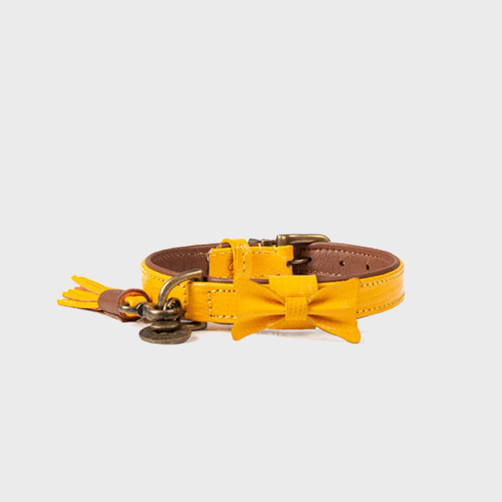 Bibi Dog Collar - Dog with a Mission - Slickers ◊ Doghouse