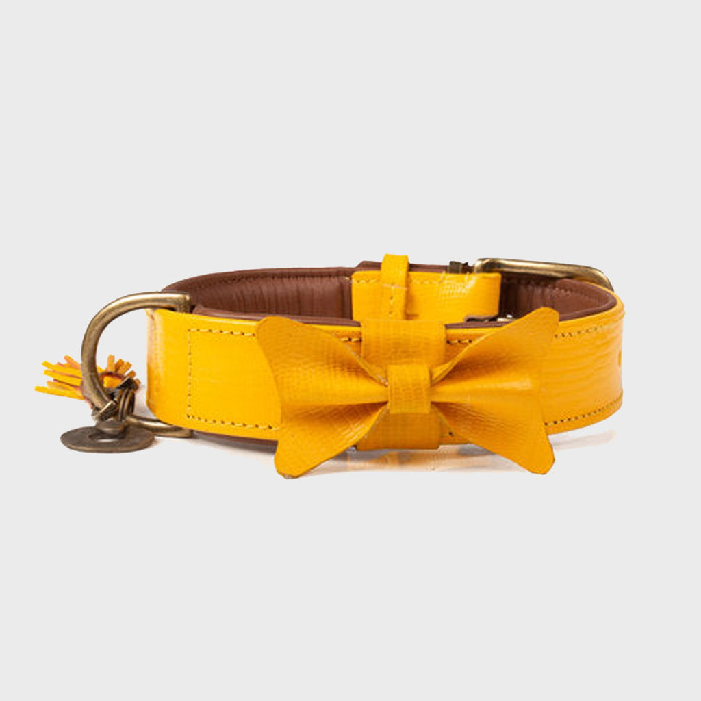 Bibi Dog Collar - Dog with a Mission - Slickers ◊ Doghouse