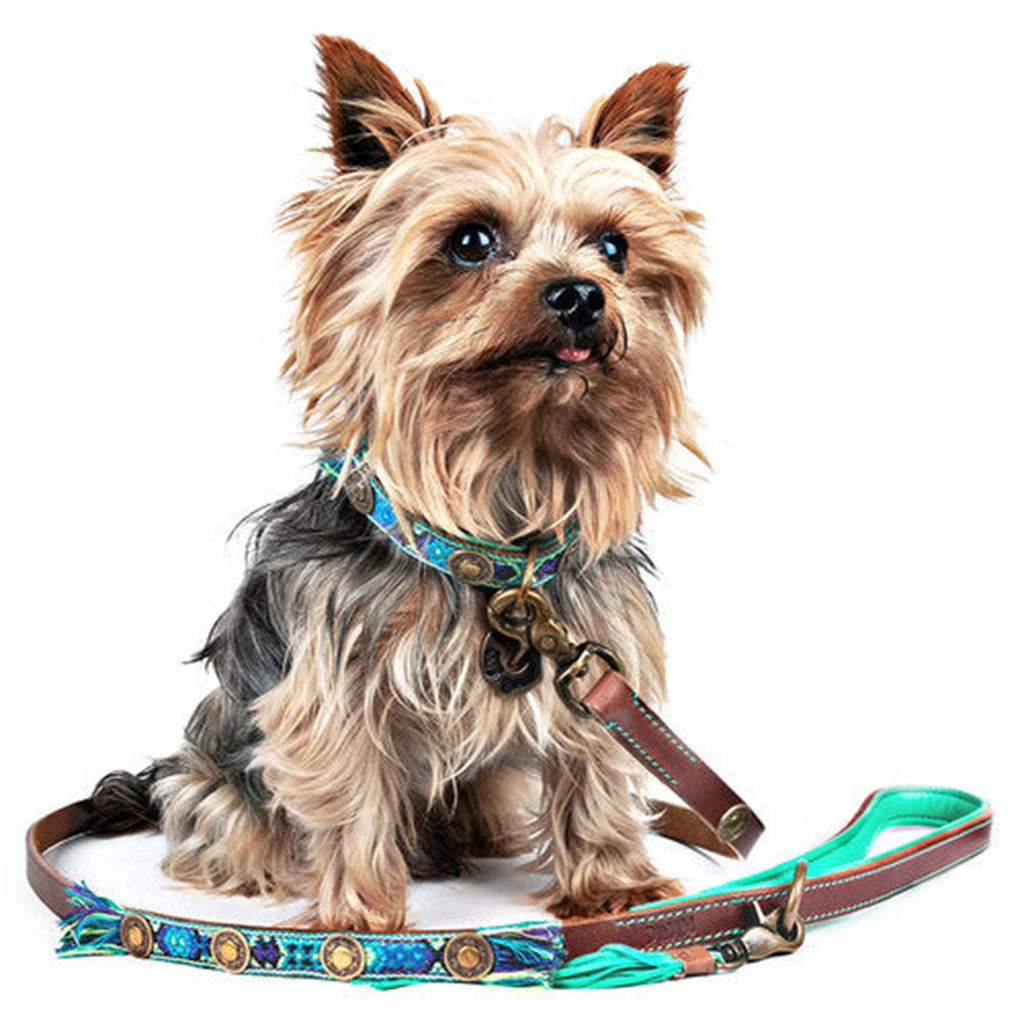 Boho Juan Blue Leather Dog Collar - Dog with a Mission - Slickers ◊ Doghouse