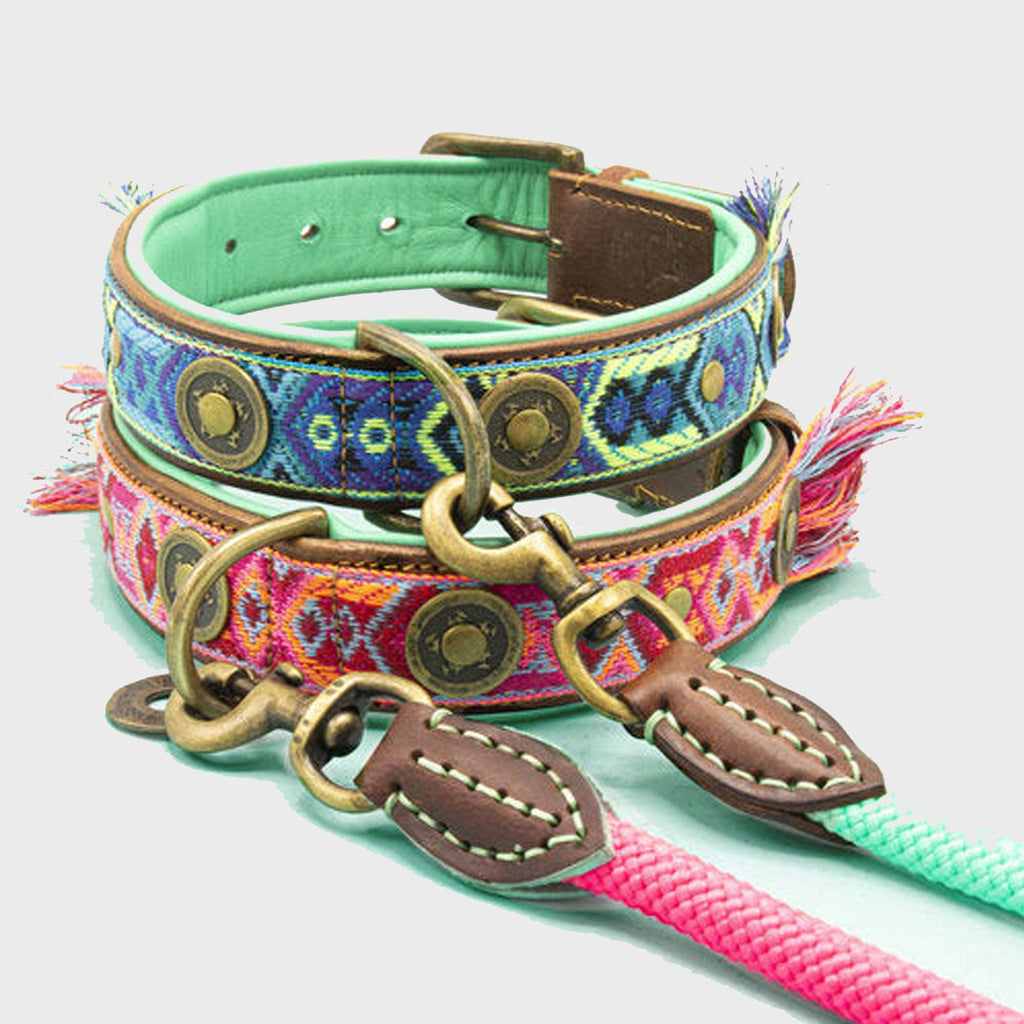 Boho Juan Blue Leather Dog Collar - Dog with a Mission - Slickers ◊ Doghouse