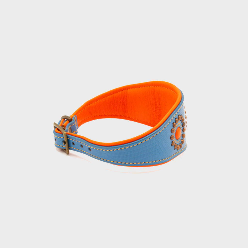 Jones Greyhound Collar - Dog with a Mission - Slickers ◊ Doghouse