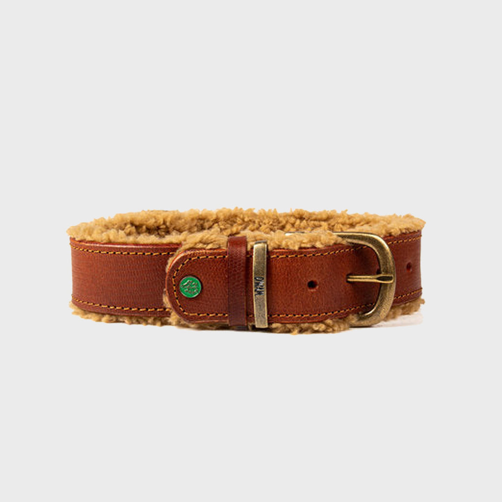 Leather Teddy Collar Brown - Dog with a Mission - Slickers ◊ Doghouse