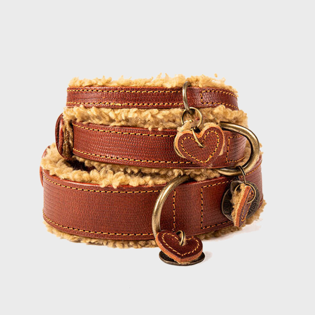 Leather Teddy Collar Brown - Dog with a Mission - Slickers ◊ Doghouse