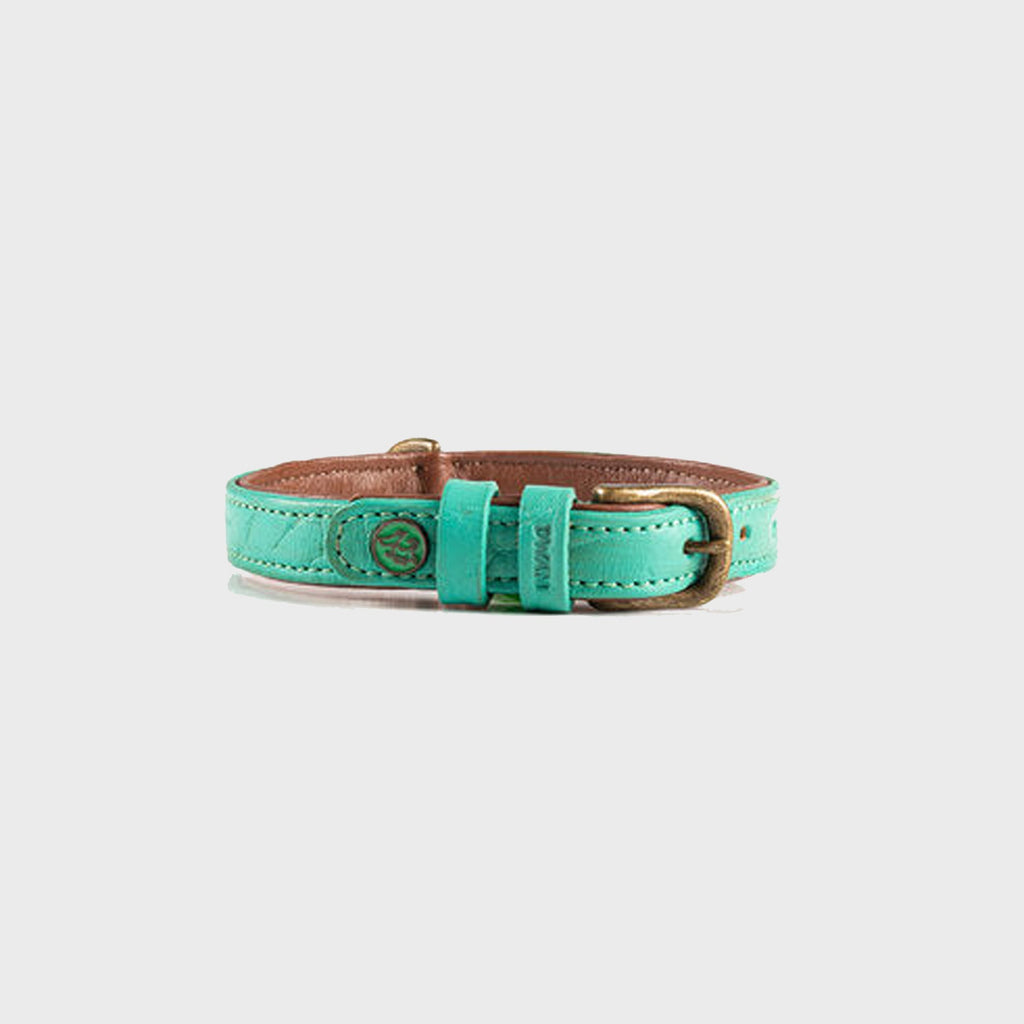 Lords and Labradors Collar Leather Turquoise Rebel Dog Collar - Dog with a Mission