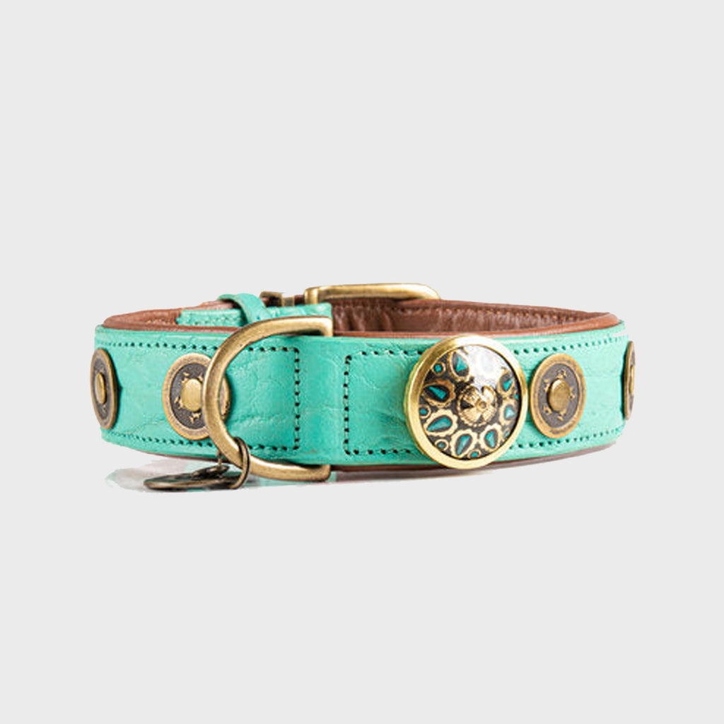 Lords and Labradors Collar Leather Turquoise Rebel Dog Collar - Dog with a Mission