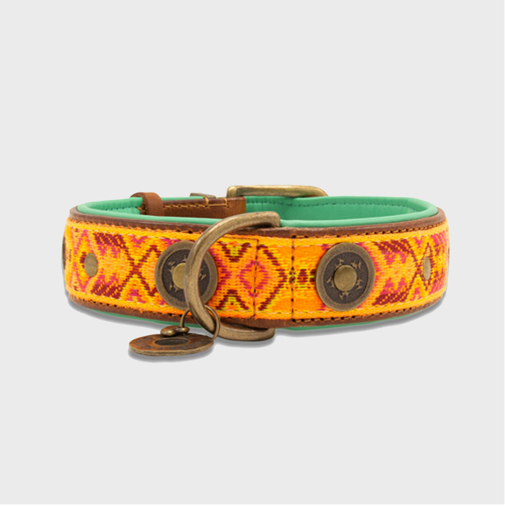 Lords and Labradors Collar Orange Leather Boho Chica Dog Collar - Dog with a Mission