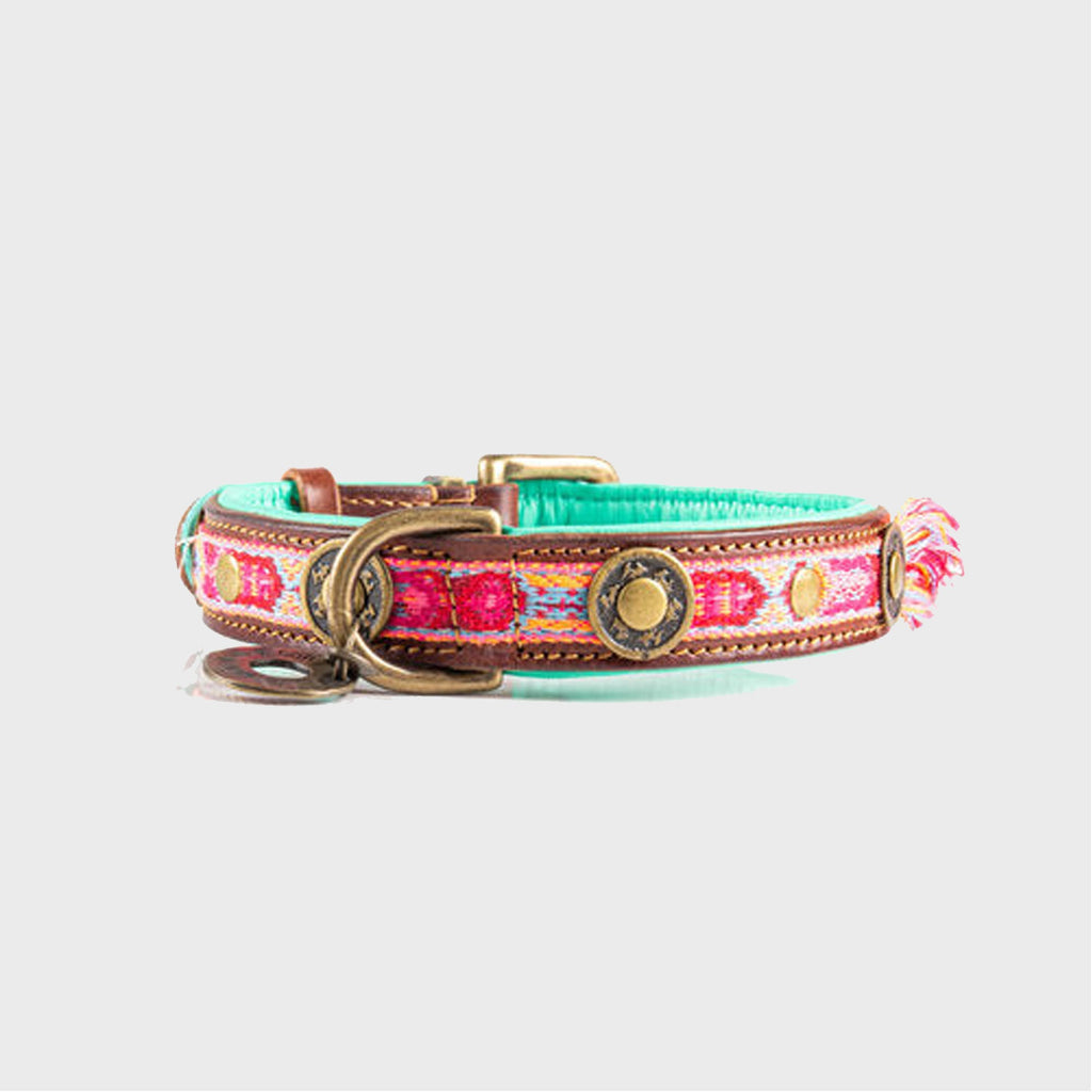 Lords and Labradors Collar Pink Boho Rosa Dog Collar - Dog with a Mission