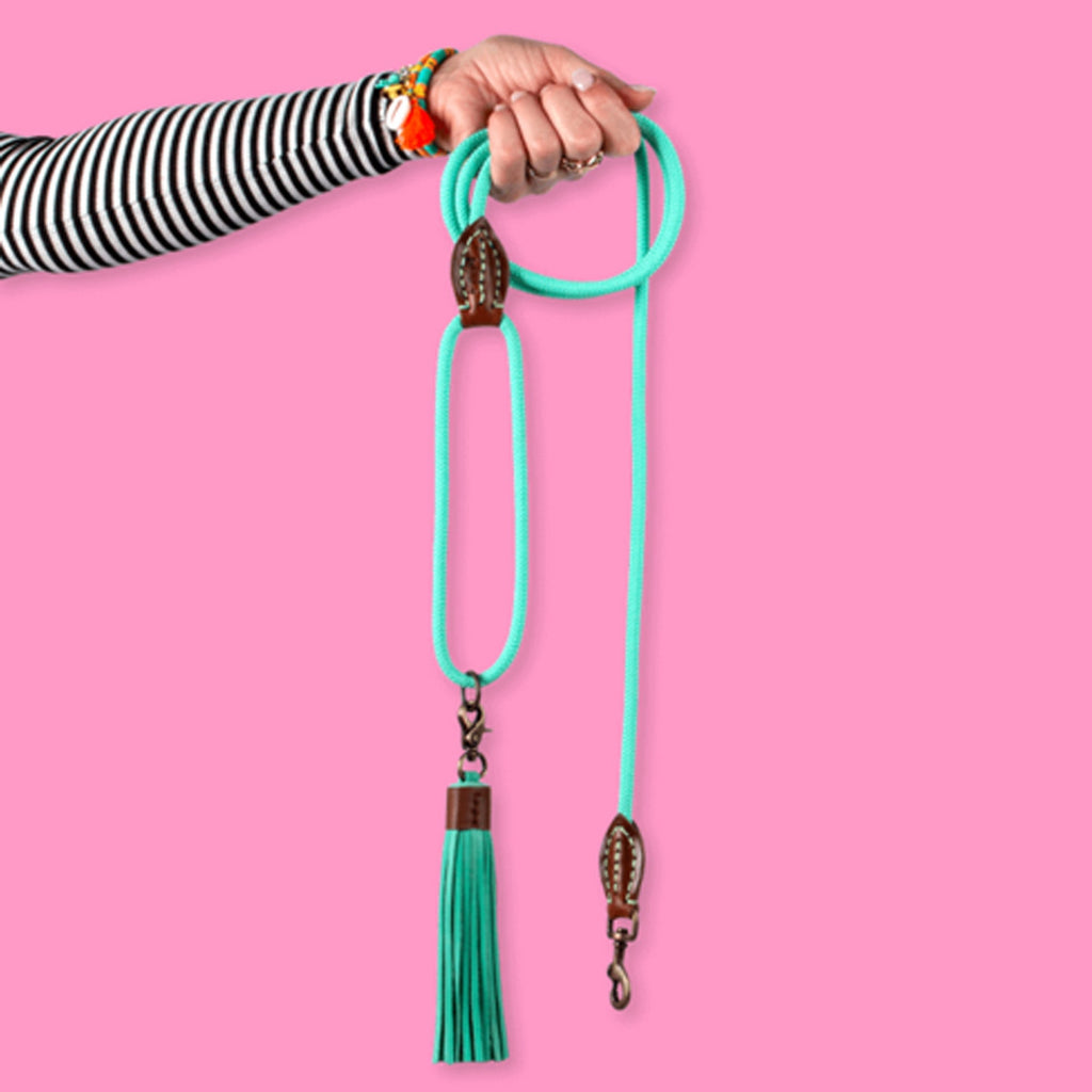 Lords and Labradors Dog Lead Dog Leash Jade Turquoise