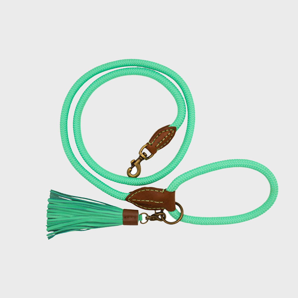 Lords and Labradors Dog Lead Dog Leash Jade Turquoise