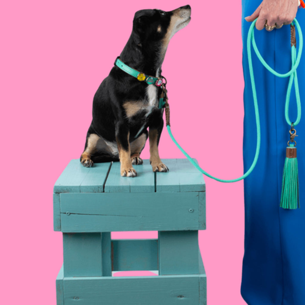 Dog Leash Jade Turquoise - Slickers ◊ Doghouse