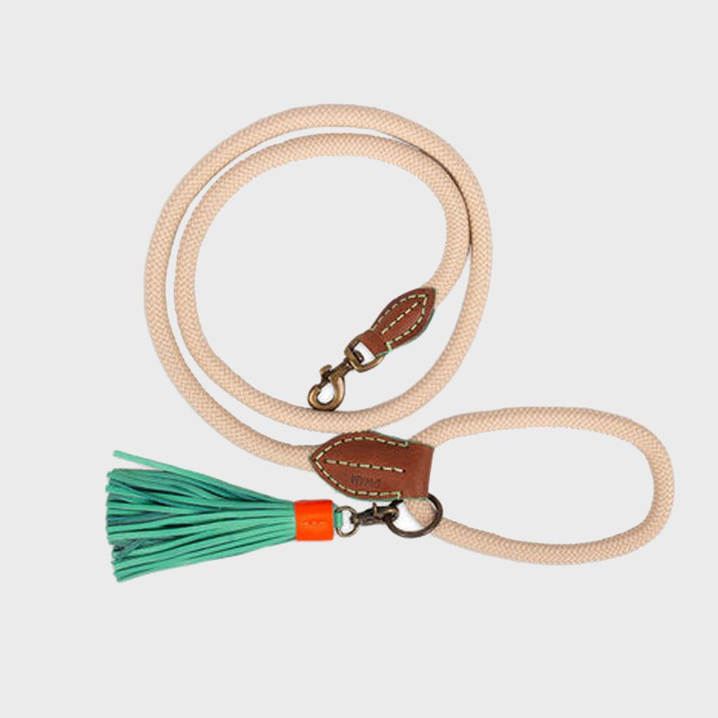 Lords and Labradors Dog Lead Dog Leash Sand