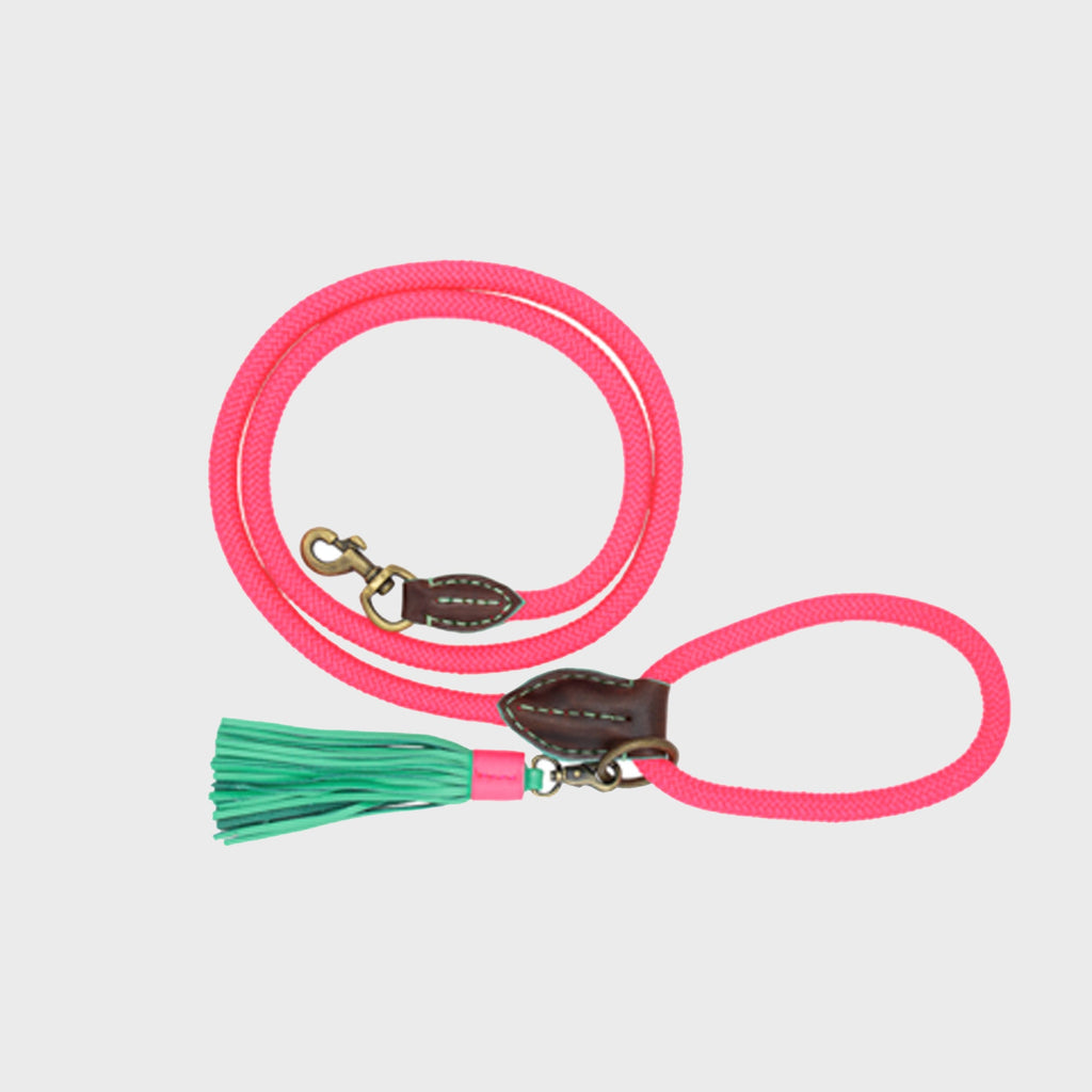 Lords and Labradors Dog Lead Dog Leash Sugarbabe Pink