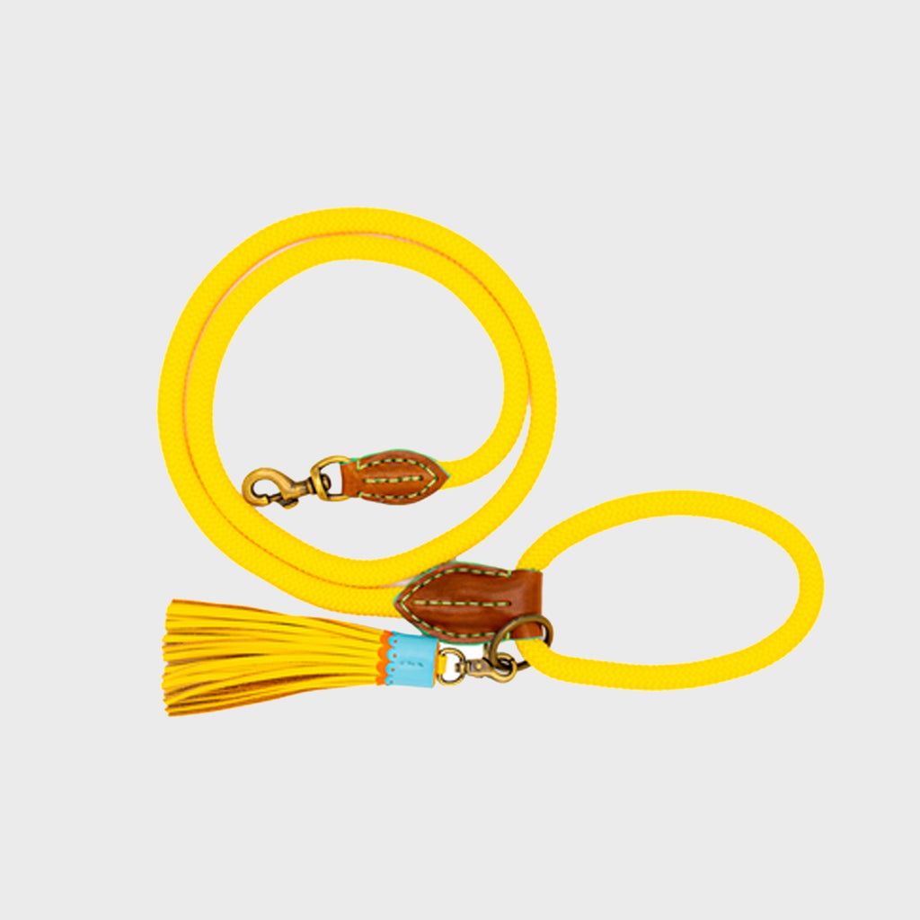 Lords and Labradors Dog Lead Dog Leash Sunny