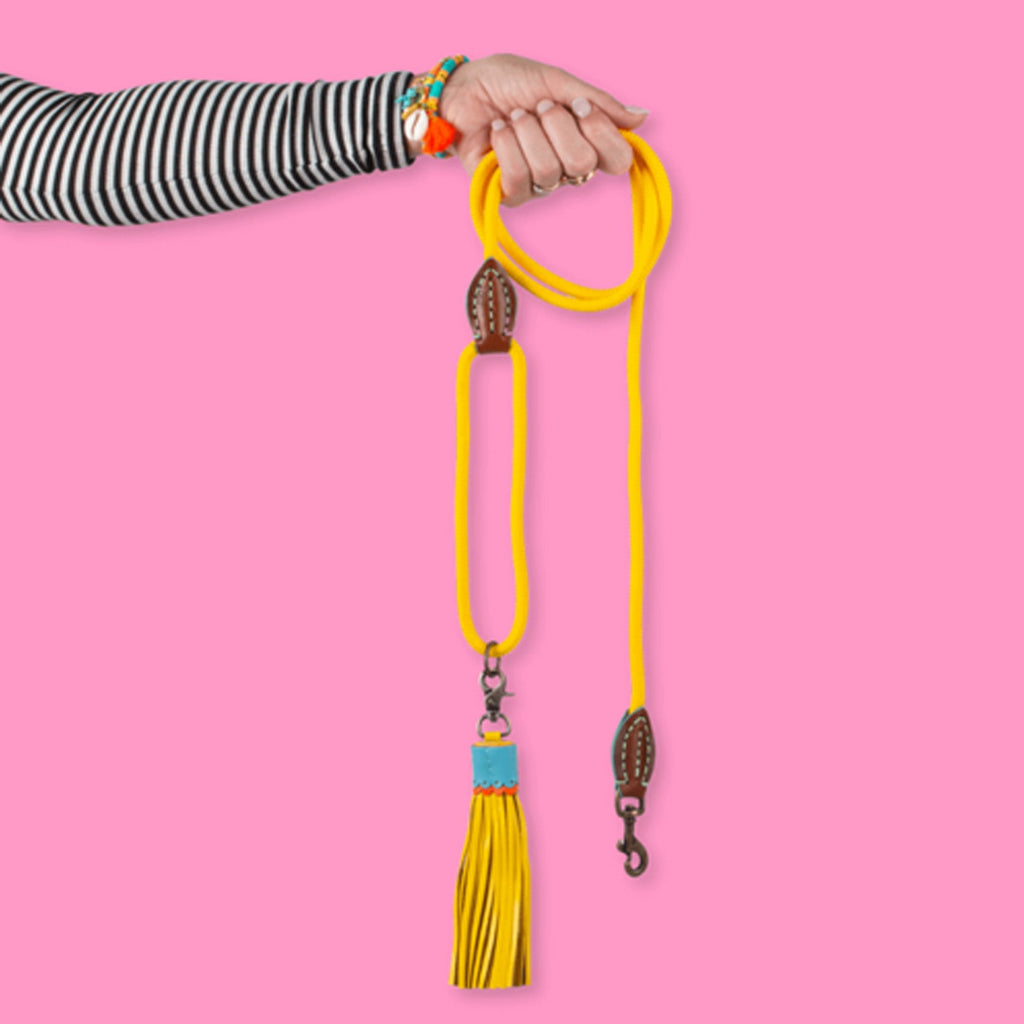 Lords and Labradors Dog Lead Dog Leash Sunny