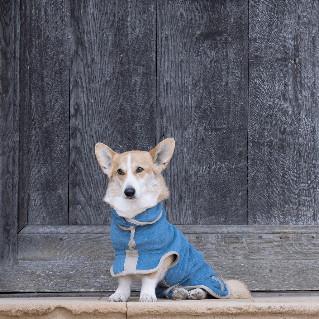 Dog Drying Coat - Classic Collection - Slickers ◊ Doghouse