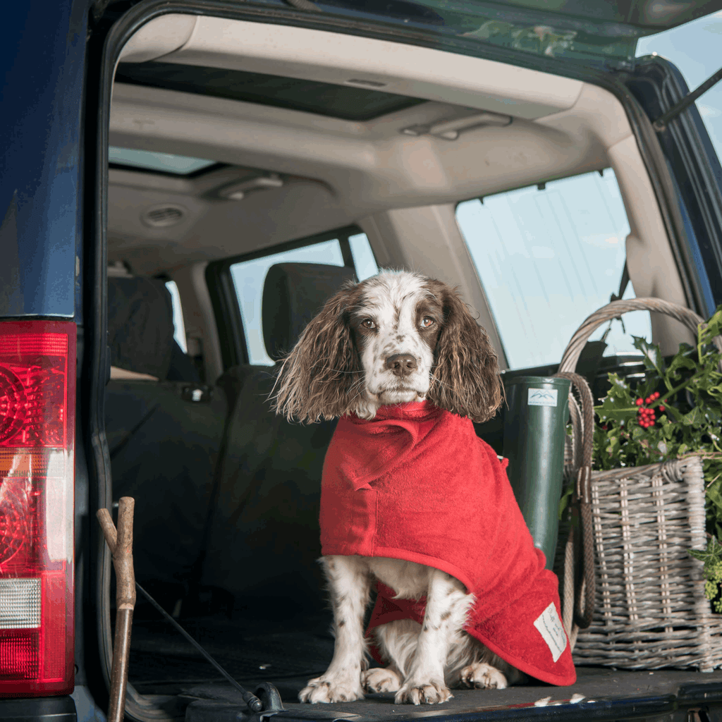 Dog Drying Coat - Classic Collection - Slickers ◊ Doghouse