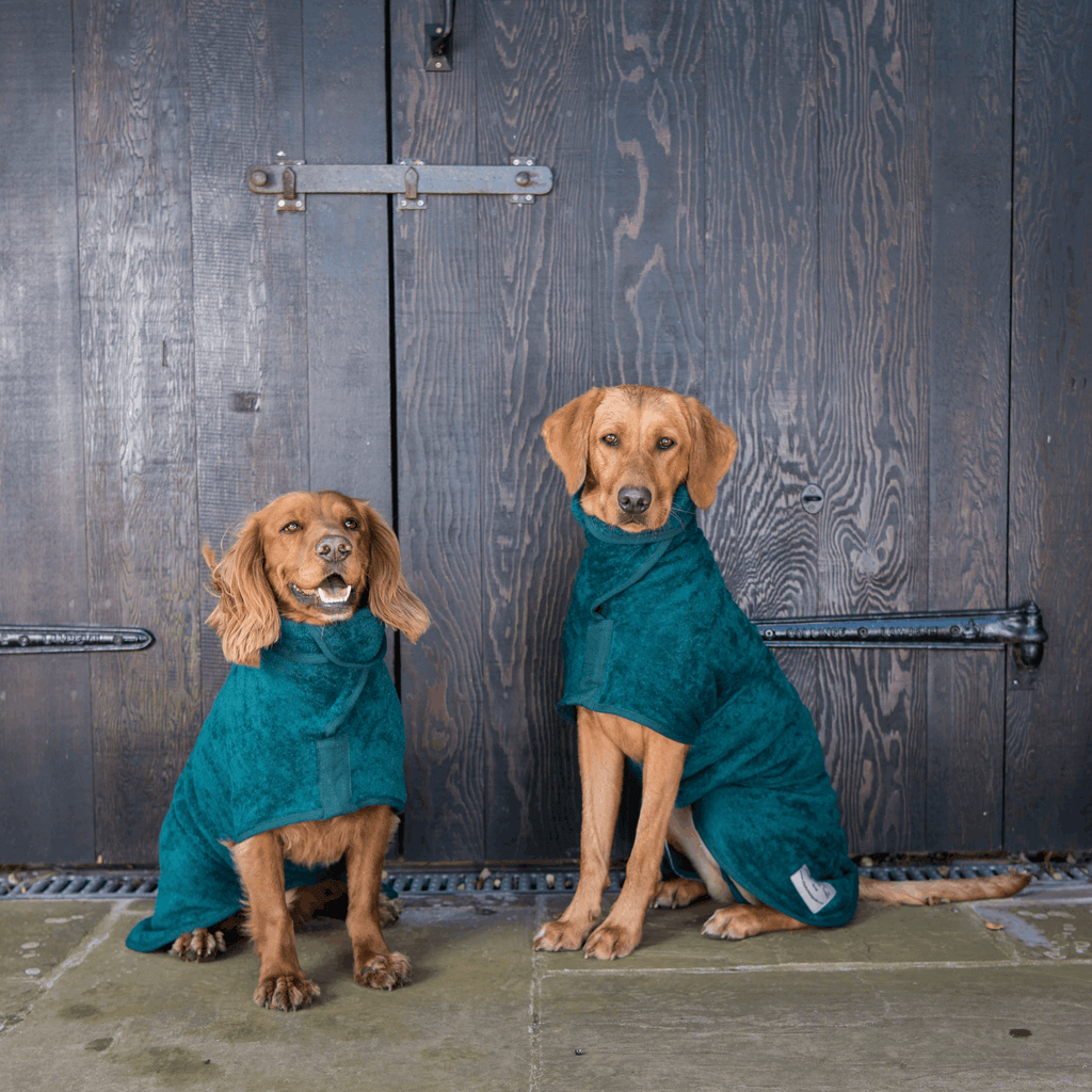 Ruff and Tumble Drying Coat Dog Drying Coat - Classic Collection