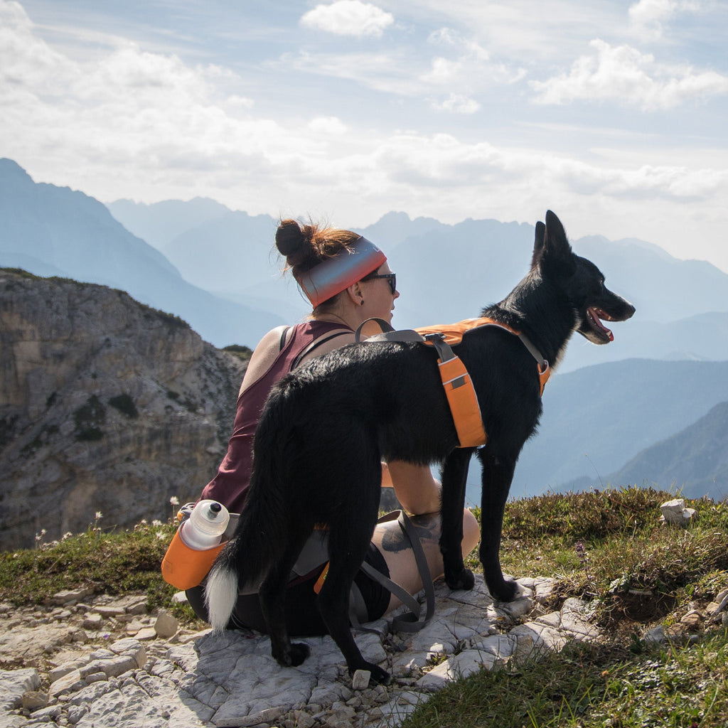 Ruff Wear Running system Omnijore™ Dog Joring System