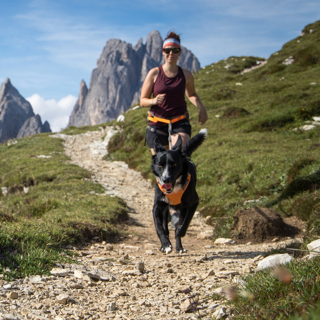 Ruff Wear Running system Omnijore™ Dog Joring System