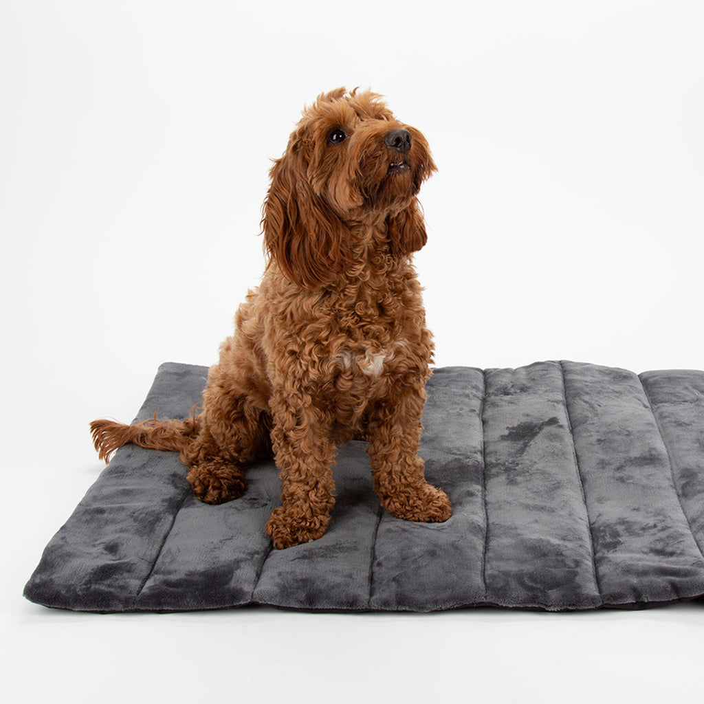 Expedition Roll Up Travel Mat - Storm Grey - Slickers ‚óä Doghouse