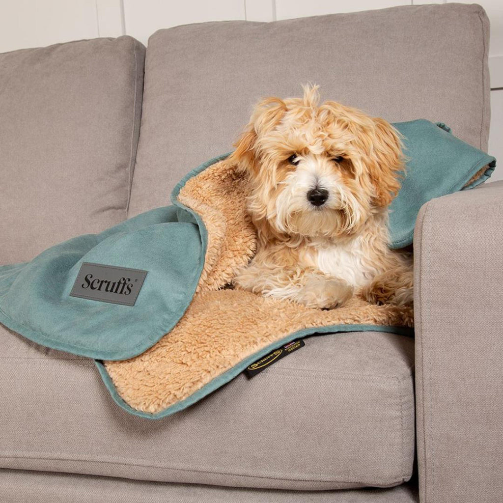 Snuggle Blanket - Slickers ‚Äö√≥√§ Doghouse