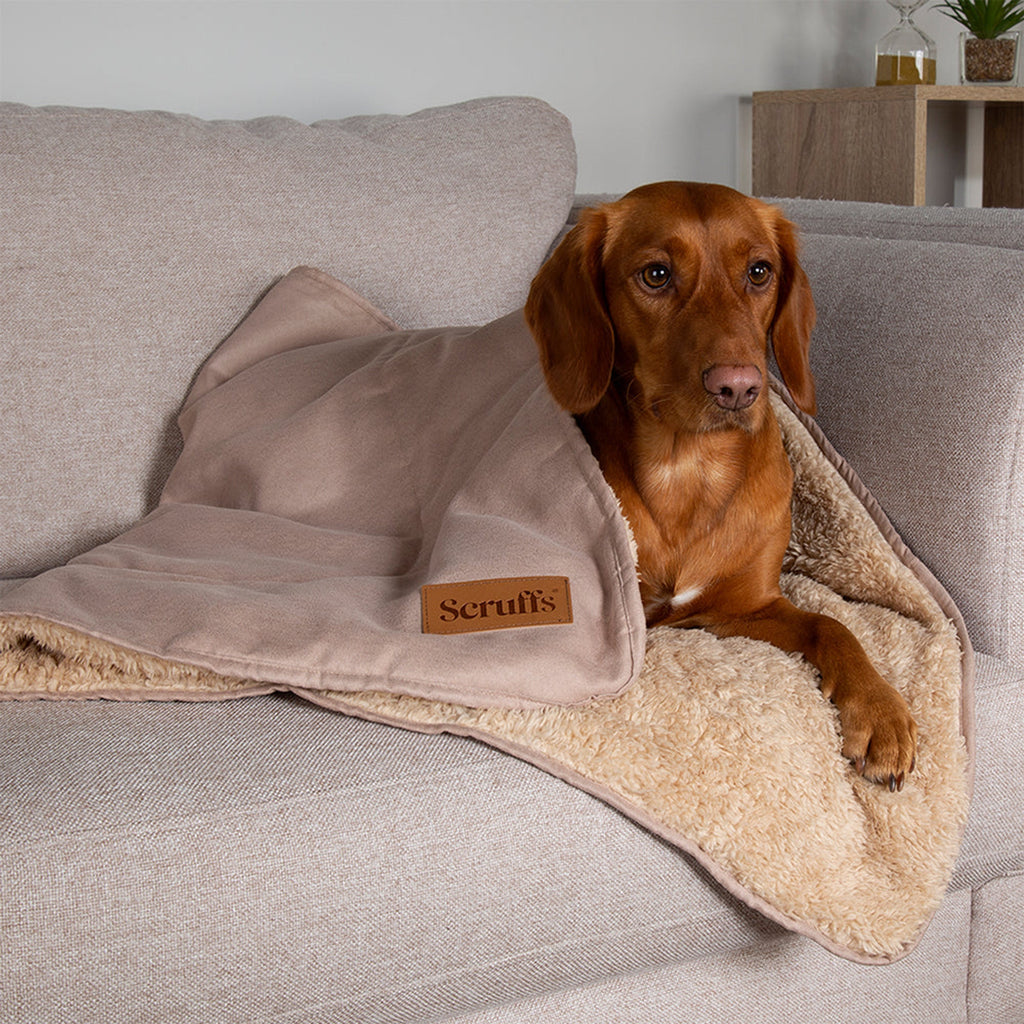 Snuggle Blanket - Slickers ‚Äö√≥√§ Doghouse