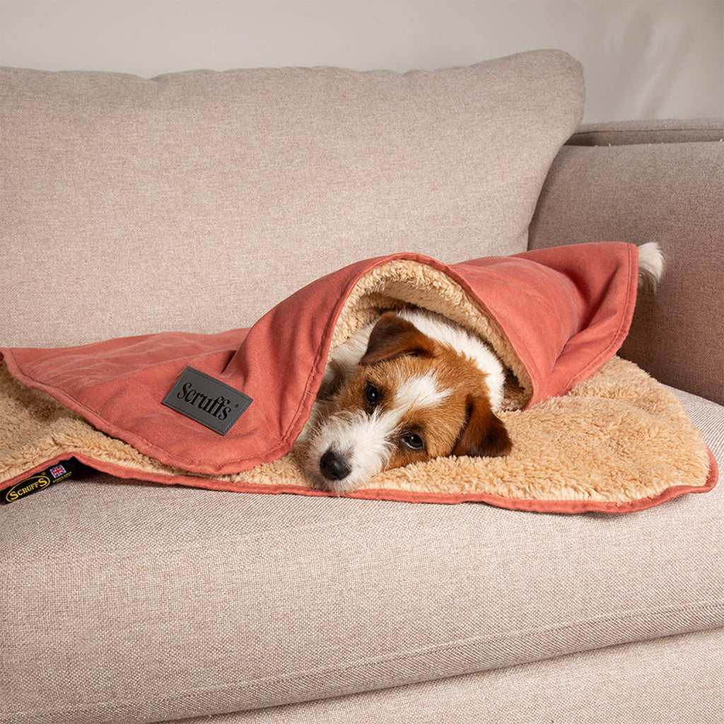 Snuggle Blanket - Slickers ‚Äö√≥√§ Doghouse