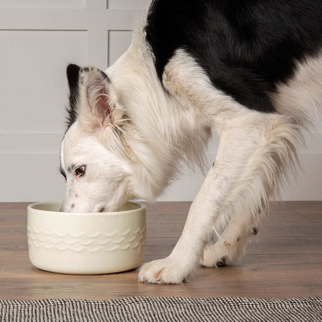 Ceramic Icon Dog Water Bowl - Slickers ◊ Doghouse