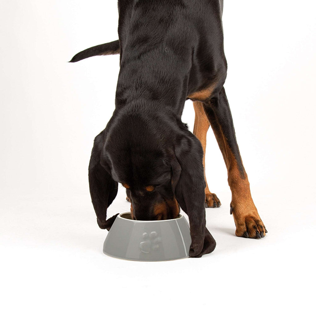 Ceramic Icon Long Eared Dog Food & Water Bowl - Slickers ◊ Doghouse