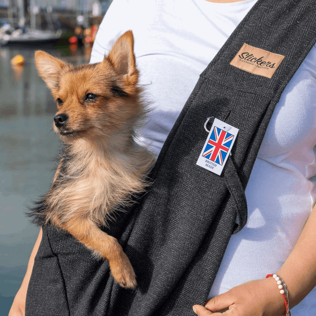 Dog shoulder sling online